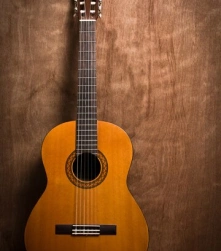 Classic Guitar Training Chennai - Classical Guitar Lessons