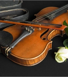 Professional Violin Classes Chennai - Learn Violin with Ease